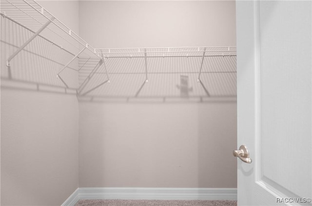 view of walk in closet