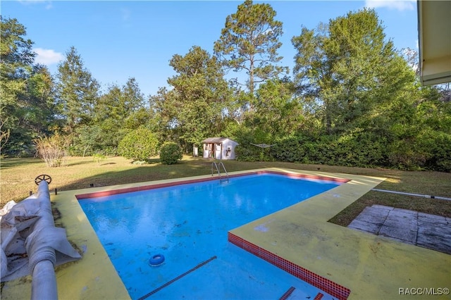 view of pool featuring a yard, a storage shed, and a patio