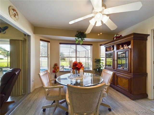 dining room with ceiling fan, light hardwood / wood-style floors, and a textured ceiling