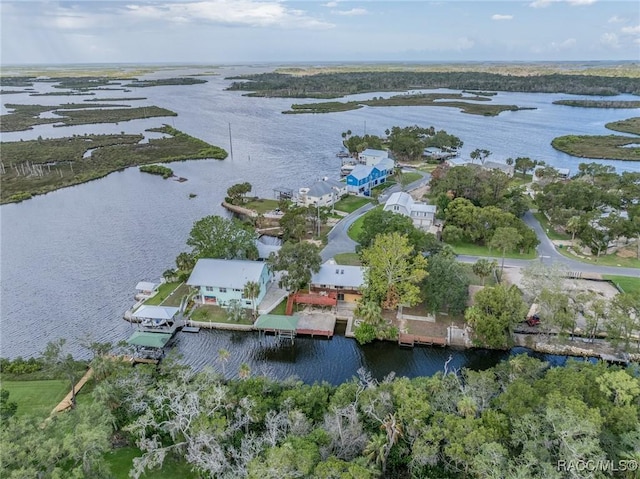 12390 W Standish Dr, Homosassa, FL 34448 - photo 3