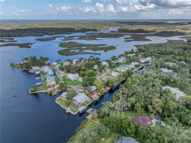 12390 W Standish Dr, Homosassa, FL 34448 - photo 11