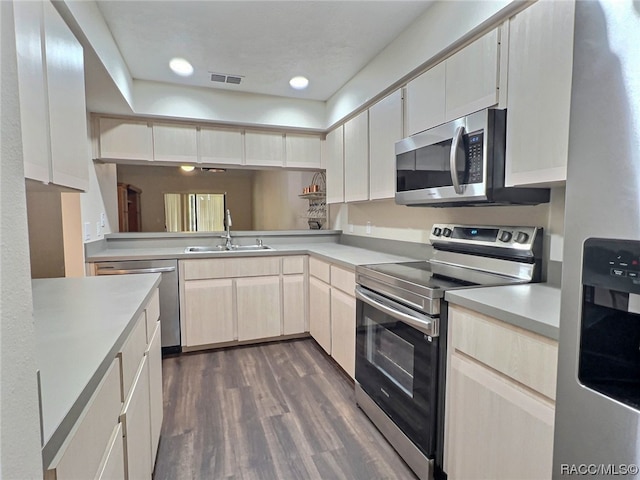 kitchen with sink, stainless steel appliances, and dark wood-type flooring