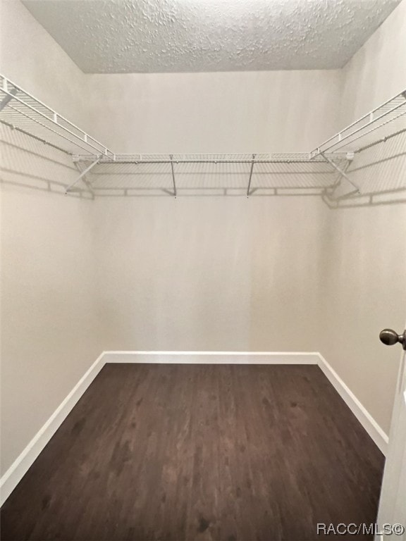 walk in closet with dark hardwood / wood-style floors