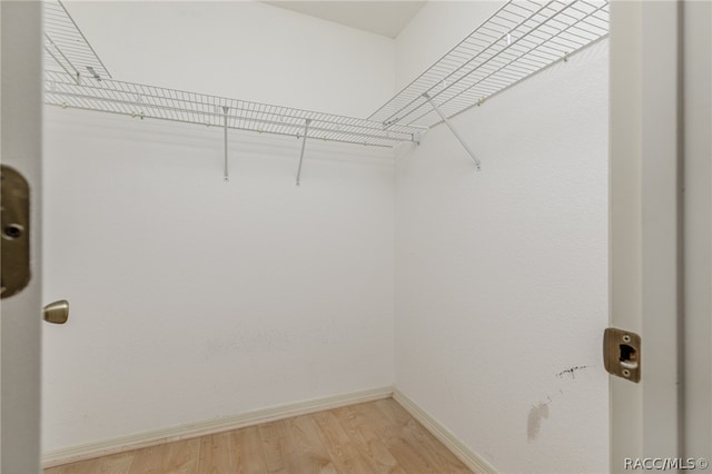 spacious closet with wood-type flooring