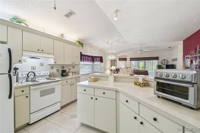 761 W Sunbird Path, Hernando, FL 34442 - kitchen with white appliances, under cabinet range hood, light countertops, healthy amount of natural light, and a textured ceiling