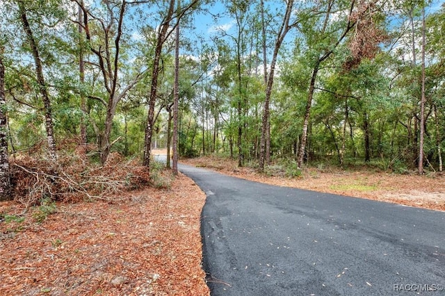 view of road