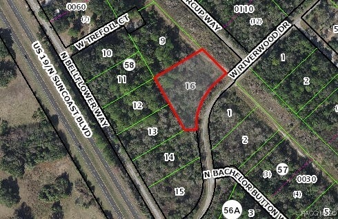 12501 W Riverwood Dr, Crystal River FL, 34428 land for sale