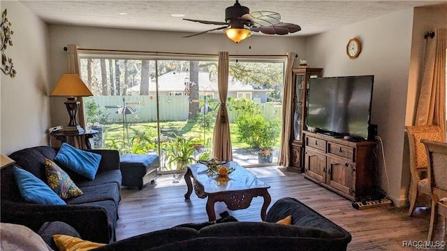 living room featuring ceiling fan, light hardwood / wood-style floors, and a textured ceiling