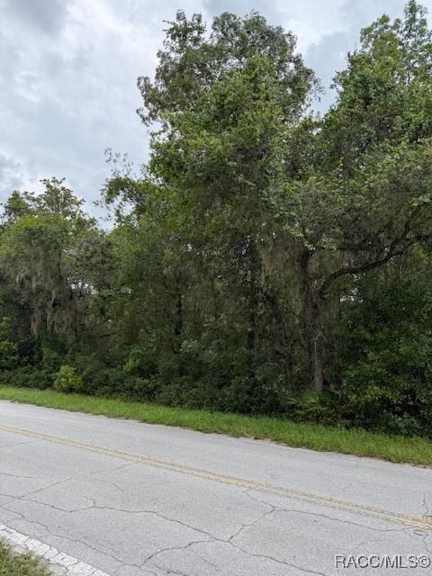 7259 S Withlapopka Dr, Floral City, FL 34436 - photo 2
