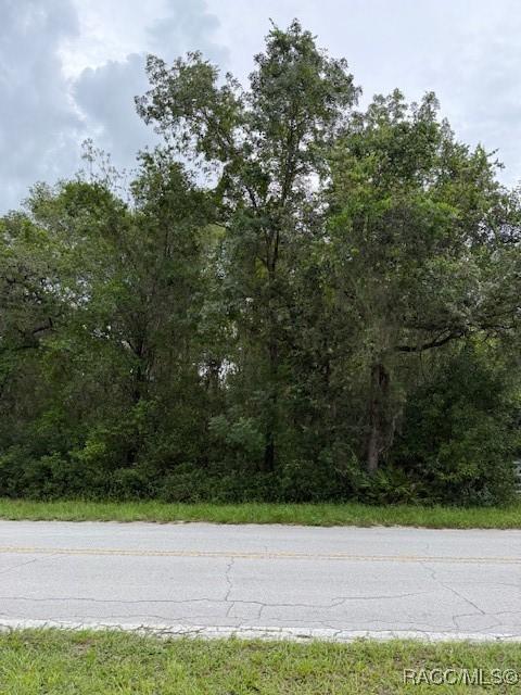 7259 S Withlapopka Dr, Floral City, FL 34436 - photo 1