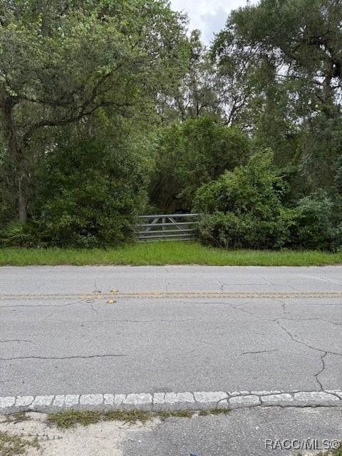 7259 S Withlapopka Dr, Floral City, FL 34436 - photo 4
