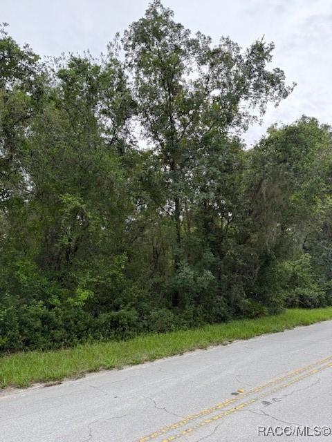 7259 S Withlapopka Dr, Floral City, FL 34436 - photo 3