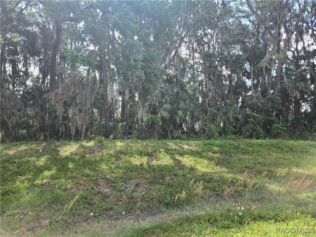 956 Ibis Cir, Inverness, FL 34453 - view of nature