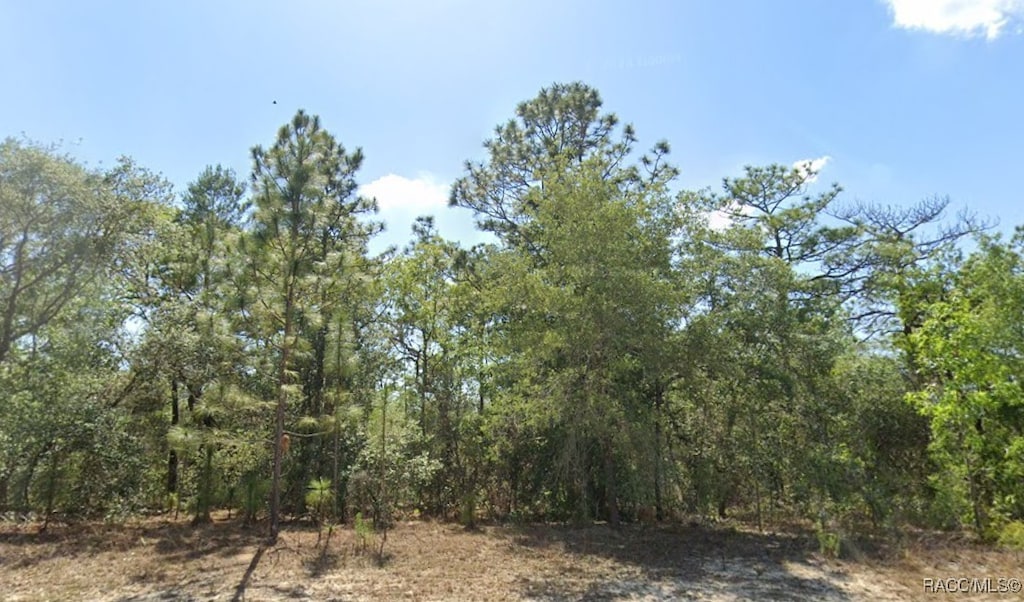 7932 N Elkcam Blvd, Citrus Springs, FL 34433