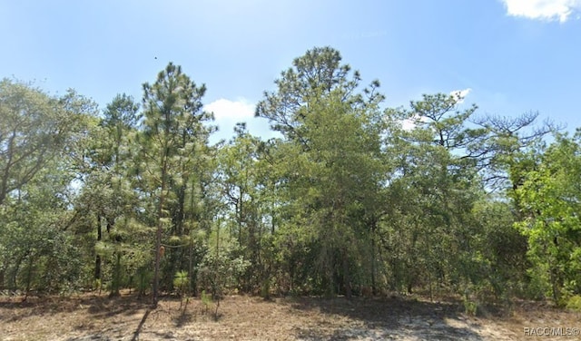 7932 N Elkcam Blvd, Citrus Springs, FL 34433