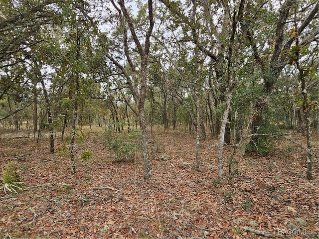 1598 W Manchester Dr, Citrus Springs, FL 34434