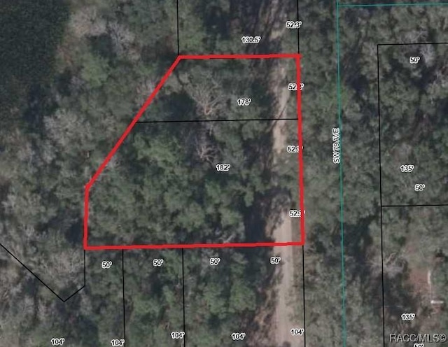 0 SW 79th Ave, Bell FL, 32619 land for sale