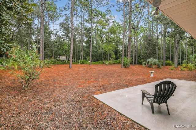 view of yard with a patio area