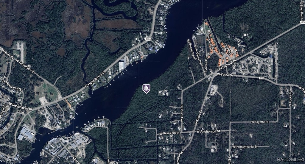 10685 W Caladonia St, Homosassa, FL 34448 - photo 3