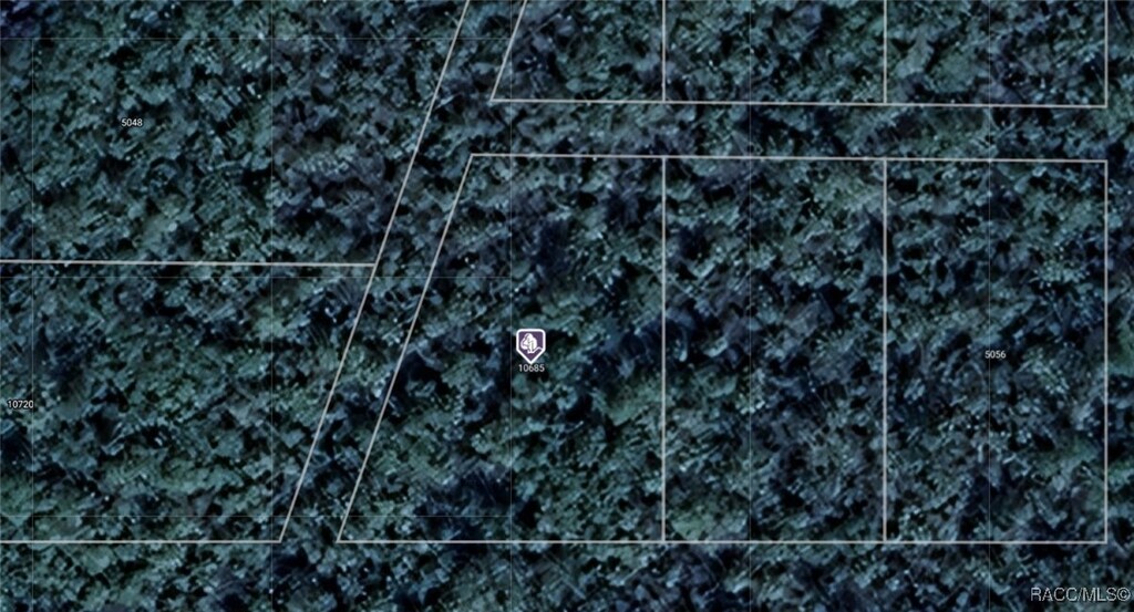 10685 W Caladonia St, Homosassa, FL 34448 - photo 1