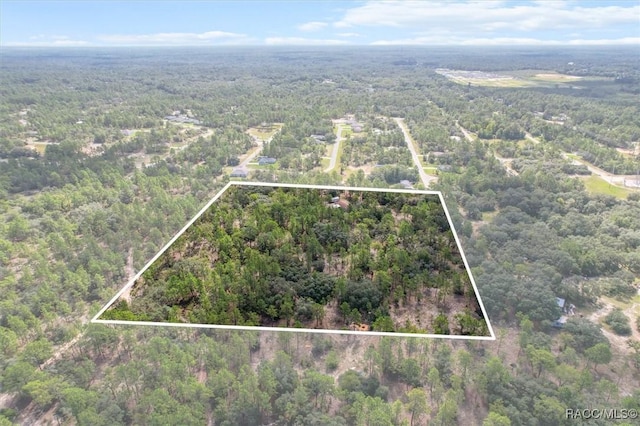 2995 W Buccaneer Ln, Citrus Springs, FL 34433 - photo 7