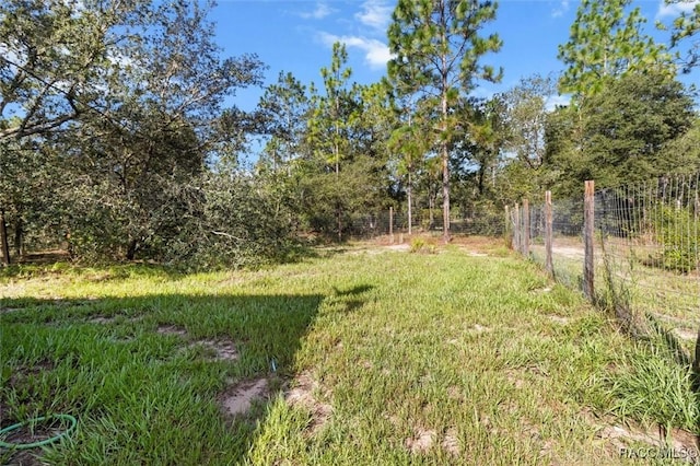 2995 W Buccaneer Ln, Citrus Springs, FL 34433 - photo 42