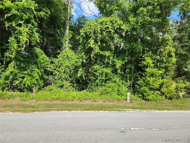 477 S Rooks Ave, Inverness FL, 34463 land for sale