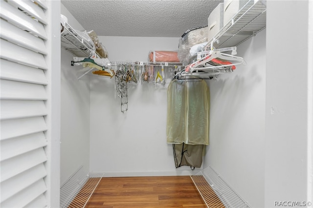 spacious closet with hardwood / wood-style floors