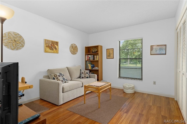 living room with wood-type flooring