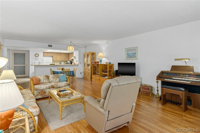 living room featuring light hardwood / wood-style floors and a textured ceiling