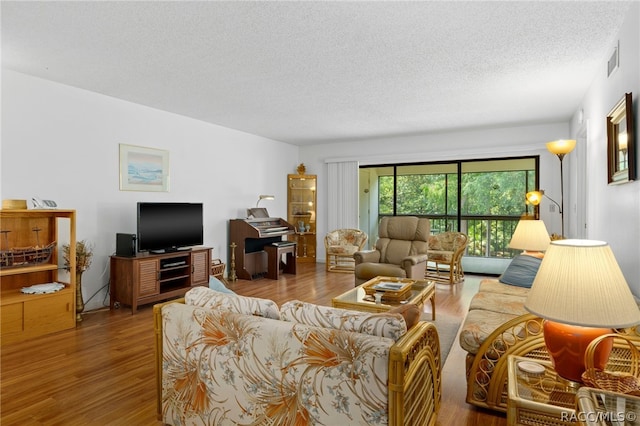 living room featuring wood-type flooring and a textured ceiling