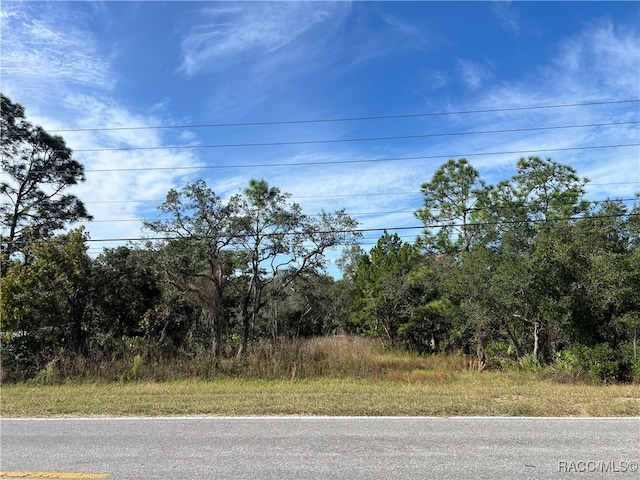 Listing photo 2 for 1680 S Rock Crusher Rd, Homosassa FL 34448