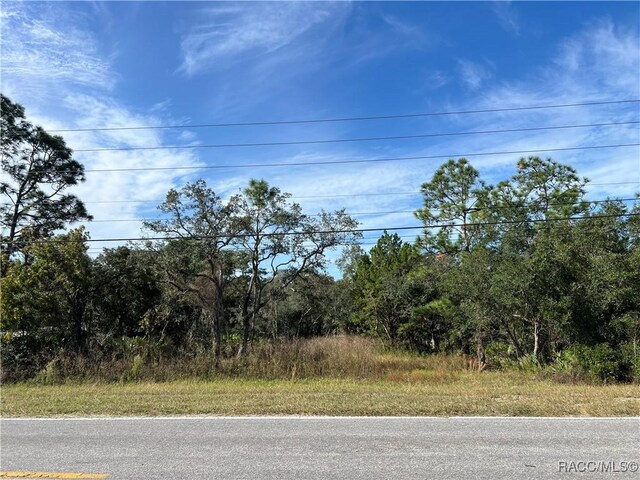 1680 S Rock Crusher Rd, Homosassa, FL 34448 - photo 2