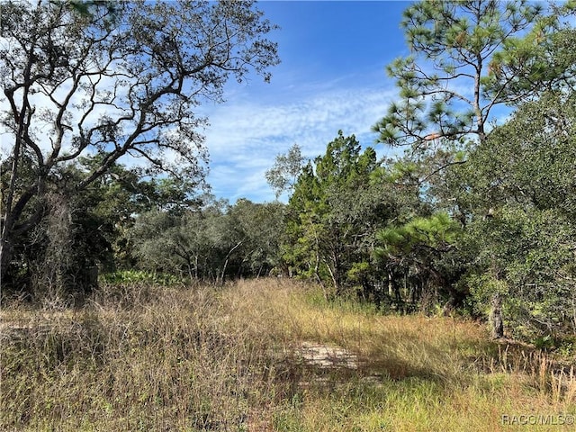 1680 S Rock Crusher Rd, Homosassa, FL 34448 - photo 1