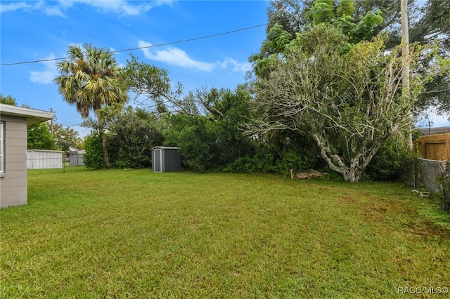 view of yard featuring a storage shed