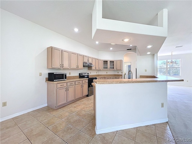 kitchen featuring light carpet, under cabinet range hood, a sink, stainless steel electric stove, and glass insert cabinets