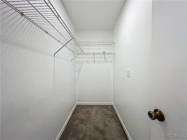 843 SE Mayo Dr Unit 203, Crystal River, FL 34429 - photo 20