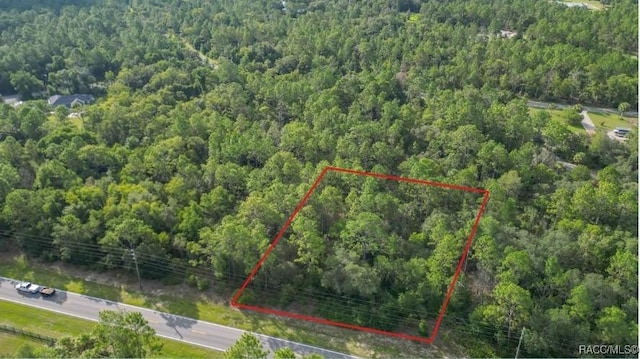 10488 W Dunnellon Rd, Crystal River, FL 34428 - photo 9