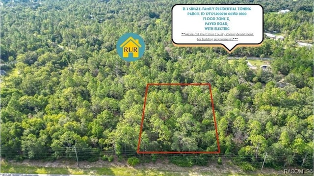 10488 W Dunnellon Rd, Crystal River, FL 34428 - photo 2