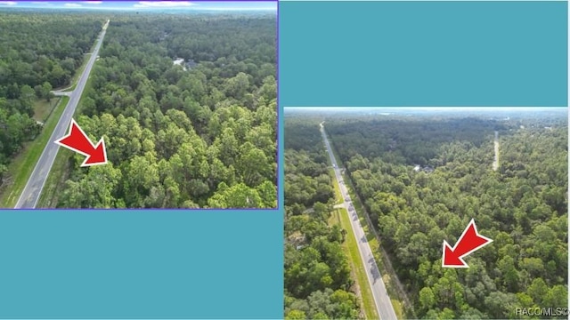 10488 W Dunnellon Rd, Crystal River, FL 34428 - photo 5