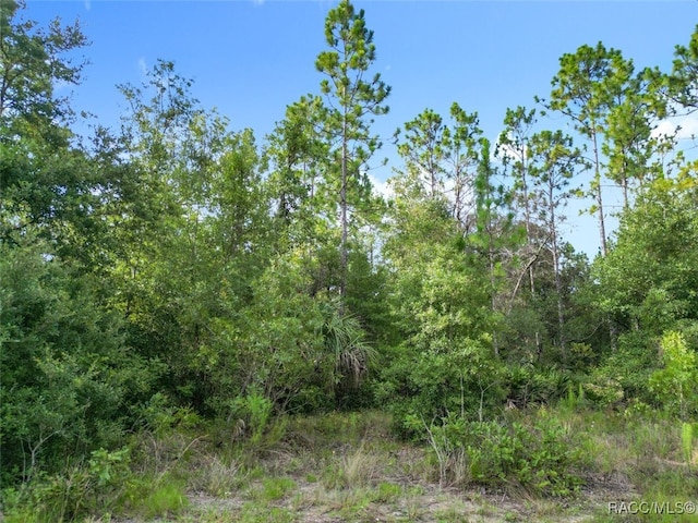 10488 W Dunnellon Rd, Crystal River, FL 34428 - photo 8
