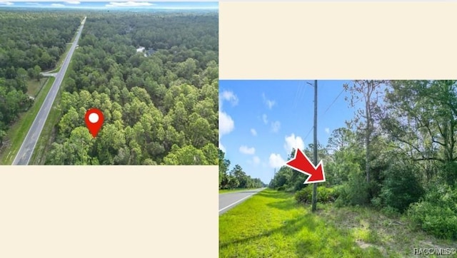 10488 W Dunnellon Rd, Crystal River, FL 34428 - photo 6