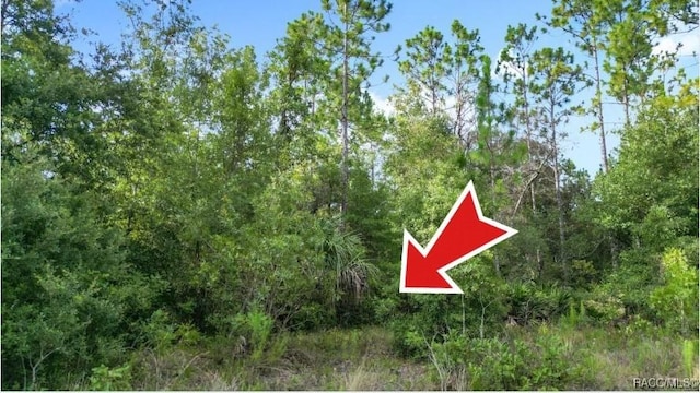10488 W Dunnellon Rd, Crystal River, FL 34428 - photo 10