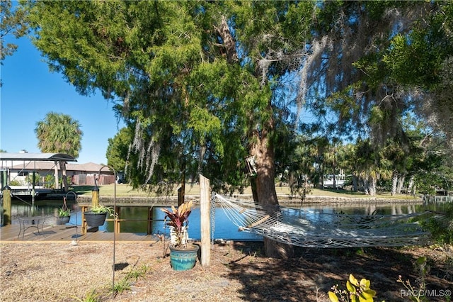 dock area with a water view