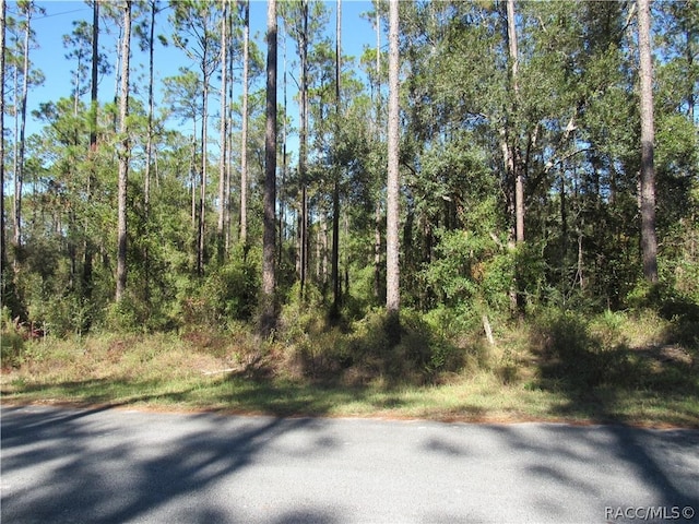 Listing photo 3 for 0000 SW Nautilus Blvd, Dunnellon FL 34431