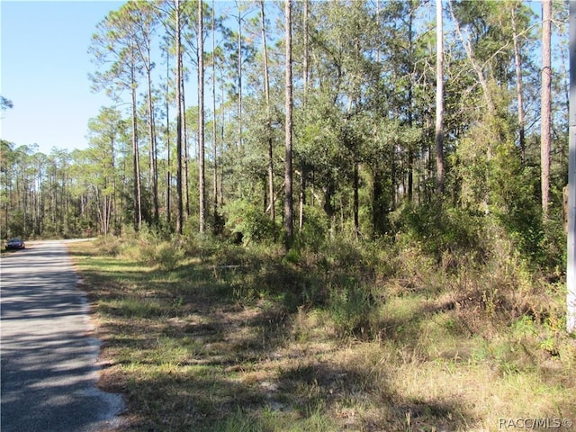 0000 SW Nautilus Blvd, Dunnellon FL, 34431 land for sale