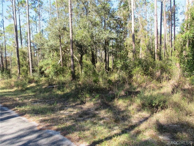 Listing photo 2 for 0000 SW Nautilus Blvd, Dunnellon FL 34431