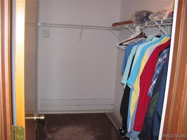 5198 N Sierra Vista Dr, Crystal River, FL 34428 - view of walk in closet