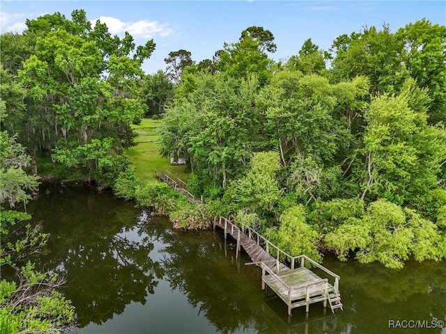 449 SW Montgomery Dr, Lake City, FL 32025 - photo 44