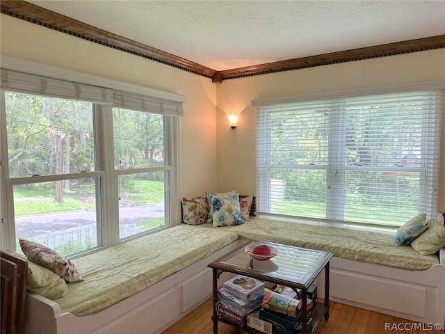 interior space featuring multiple windows, a textured ceiling, and light wood-type flooring